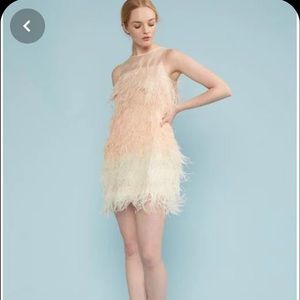 NWT Cynthia Rowley Kitty Ombré Feather Party Dress